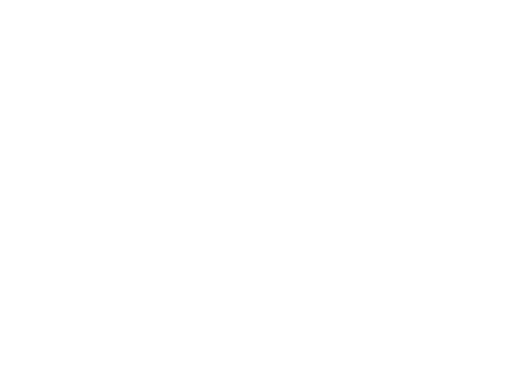 white wild logo