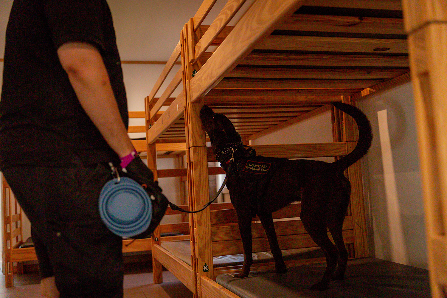 Orkin Bedbug Dog at Muskoka Woods